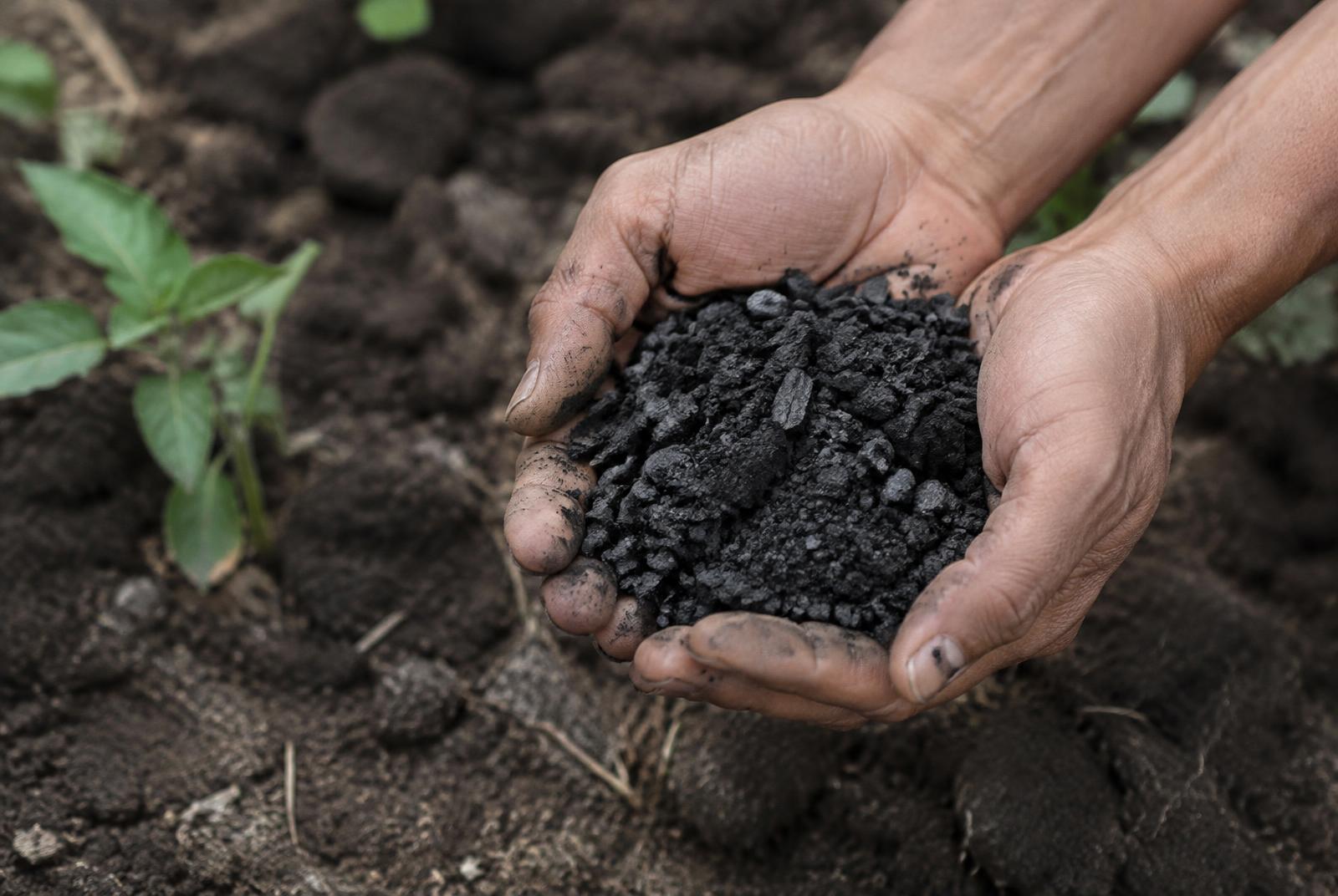 Illustrative image — biochar in soil. Not CTS fieldwork.